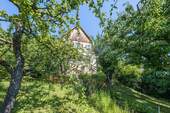 Vorgarten - 