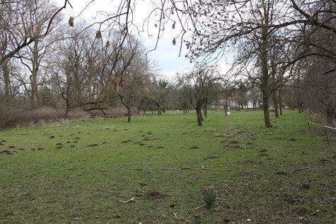 Ende Grundstück zum Haus - 