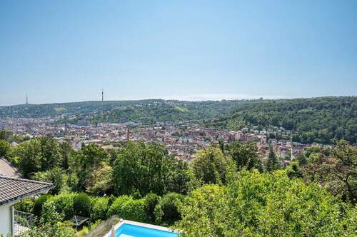 Fernblick - 