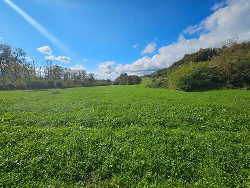 große Wiese Bild 2 - 9 Zimmer Bauernhaus, Landhaus in Winhöring