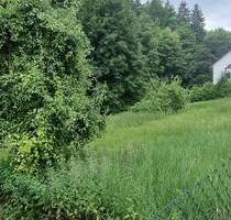 Herrliches Baugrundstück zwischen Nürnberg und Neumarkt, ca. 950m² für Ihr Traumhaus! - Burgthann / Schwarzenbach Dörlbach