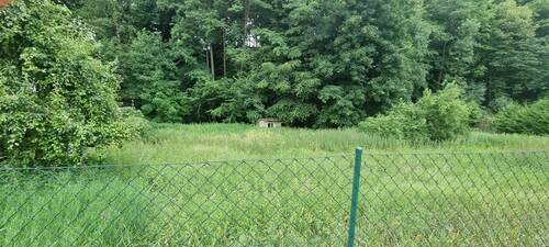 20250623_104651 - Grundstück in Burgthann / Schwarzenbach