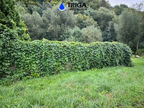 separates Grundstück an der Strasse - 