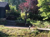 Landschaftsgarten - 