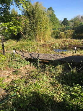 Brücke und Teich - 