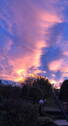 Fernblick - 
