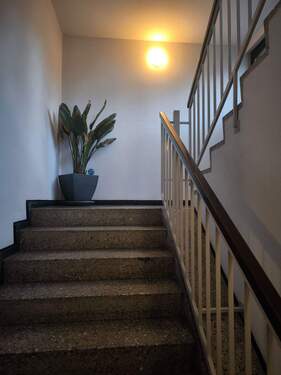 Gepflegtes Treppenhaus - 