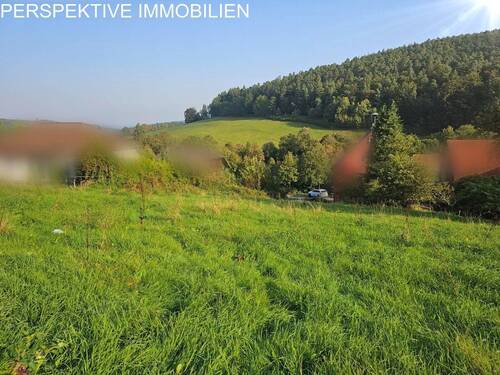 Bild 3 - Grundstück in Erbach