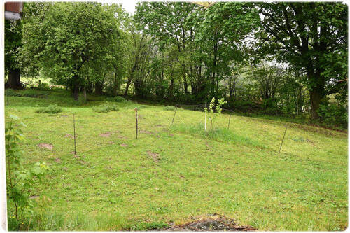 Bild11 - 