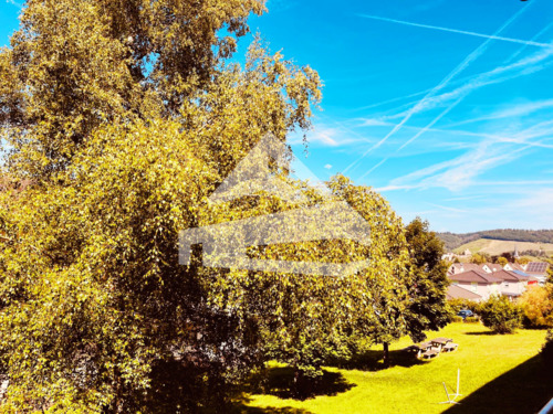 Ausblick.png - 