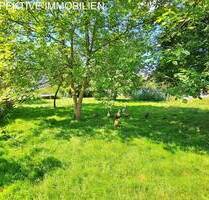 Baugrundstück im Grünen und doch zentral in der Kurstadt - Bad König