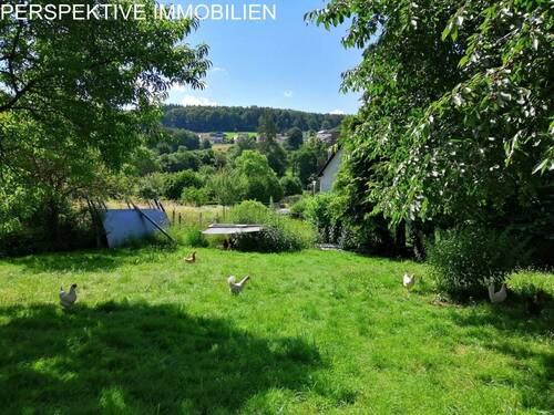 Bild 3 - Grundstück in Bad König