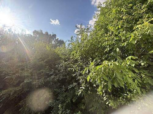 Aussicht nach hinten - 