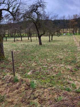Grundstück - 5 Zimmer Einfamilienhaus zum Kaufen in Igensdorf