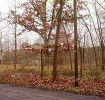 *Erholungsgrundstück zu verkaufen!* - Rathenow-Heidekrug