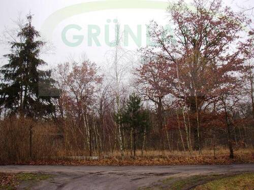 Bild 2 - Grundstück zum Kaufen in Rathenow-Heidekrug