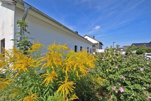 Frontansicht - 