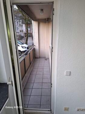 PHOTO-2026-02-18-18-19-35-3 - 