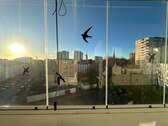 Blick vom verglasten Balkon - 