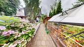 Garten...jpg - 