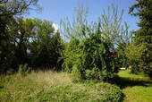 Bild10 - 