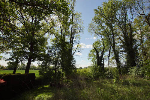 Bild11 - 