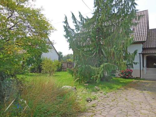 Zufahrt und Altbestand - 