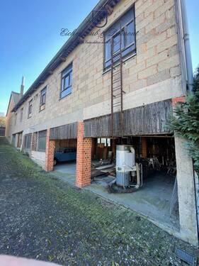 Halle (2) - 