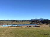 Umgebungsaufnahme mit Blick auf den Froschsee - 