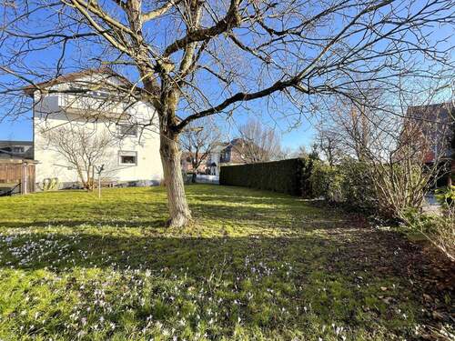 Gemeinschaftsgarten - 