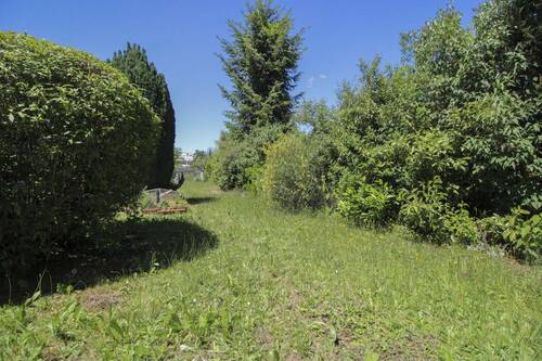 Garten hinten - 