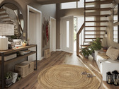 Bild 11 - 