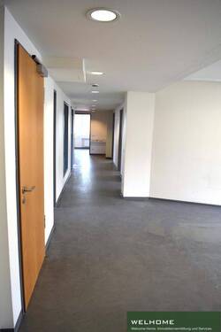 Büroetage - 6 Zimmer Büro zur Miete in Frankfurt am Main