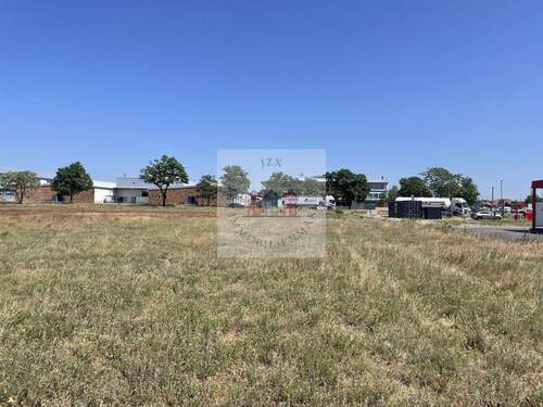 IMG_6168 - Grundstück in Jessen (Elster)