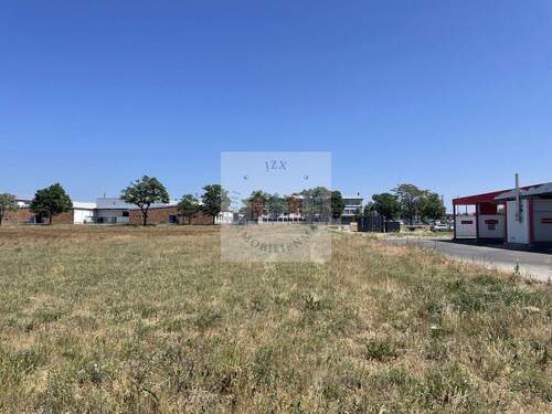 IMG_6169 - Grundstück in Jessen (Elster) zum Kaufen