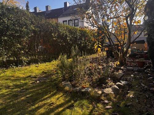 Blick in den Garten - 