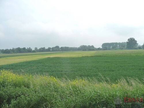 Titelbild - 5.240 m² GrünlandAckerland bei Deggendorf