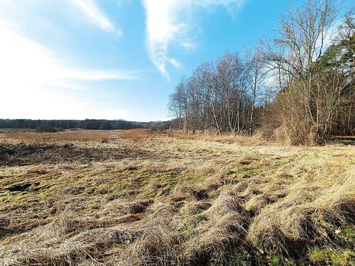Bild 4 - Grundstück in Güstrow zum Kaufen