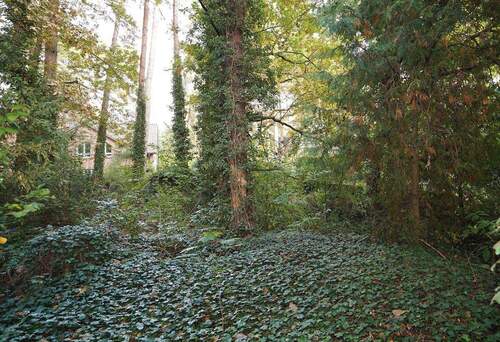 Garten - Einfamilienhaus mit 140,00 m&sup2; in Berlin / Frohnau zum Kaufen