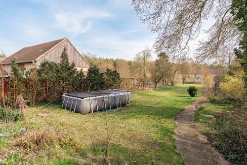 Blick in den Garten - 