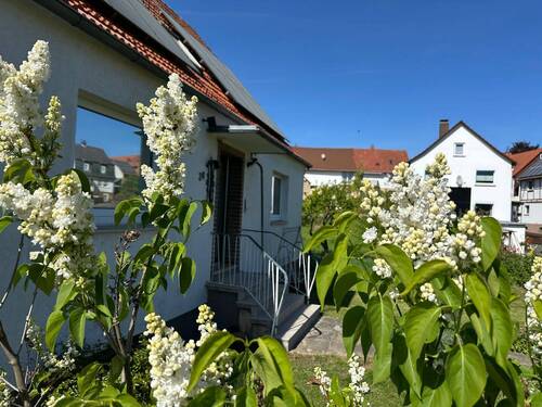 Bild 3 - 6 Zimmer Einfamilienhaus in Homberg (Efze)