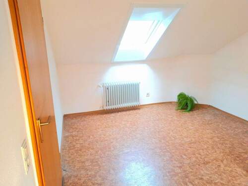 Weinbergblick via Dachfenster - 