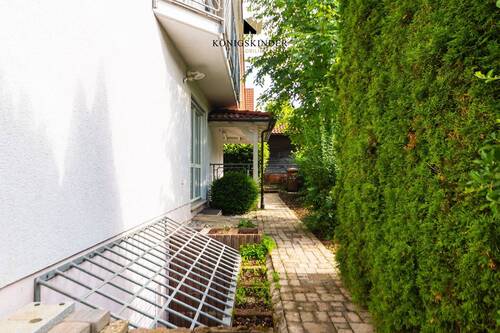 Weg zur Terrasse - 