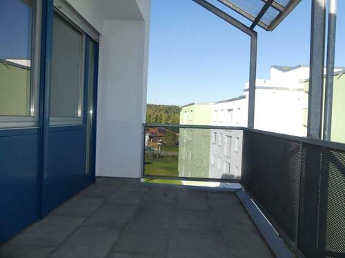 Platz - 