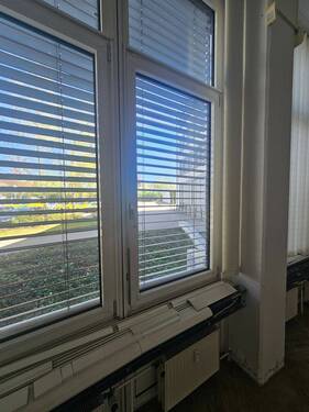 Bild 11 - 