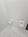 Bild 15 - 