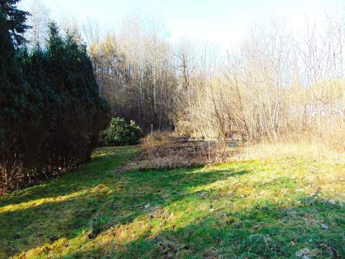 DSC01998.JPG - 4 Zimmer Einfamilienhaus in Königshain-Wiederau