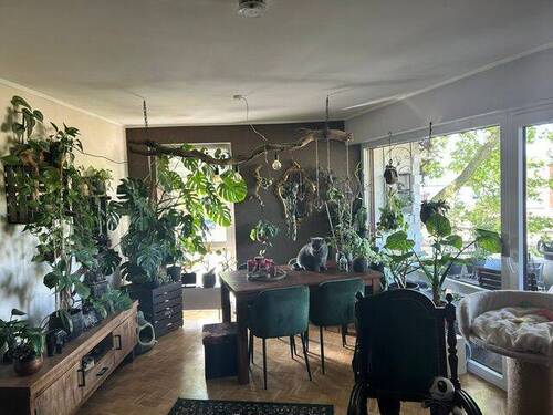Wohn-Esszimmer - 