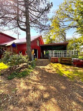 seitliche Ansicht.jpg - 