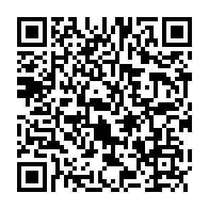 QR-Code - 